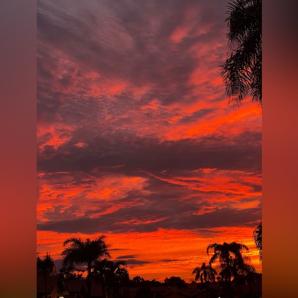 Random Pulls on Live - Picture 3 of 8